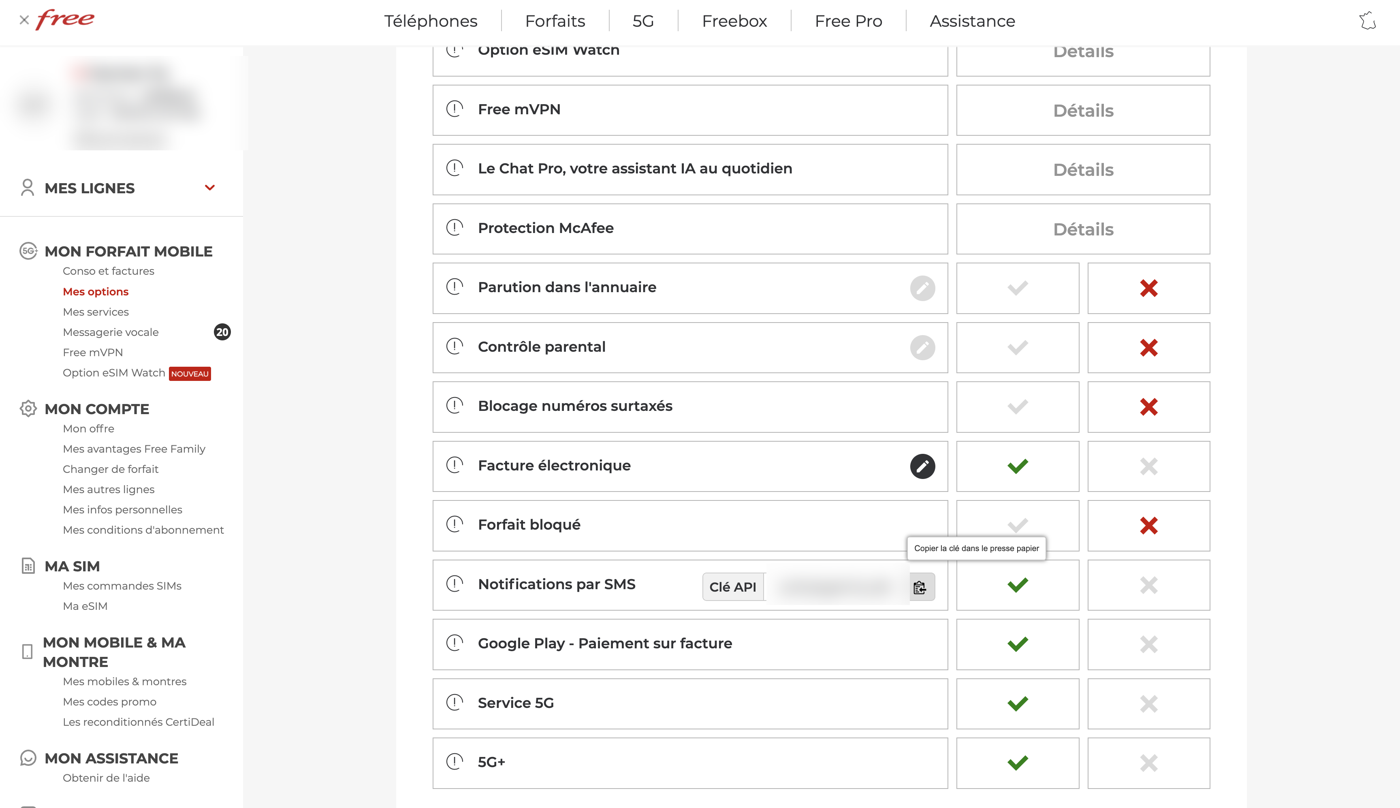 Carrier options page with the SMS notifications option enabled and its API key field visible